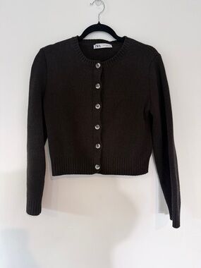 Zara Dark Brown Crewneck Button-Up Cardigan